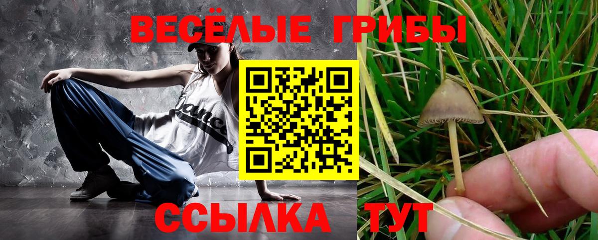 Галлюциногенные грибы MAGIC MUSHROOMS  Галлюциногенные грибы Cubensis  Беслан  Вход с VPN 